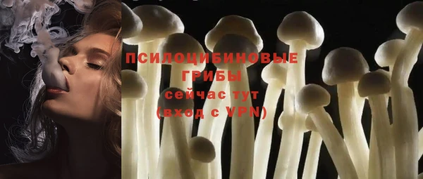 a pvp Саяногорск